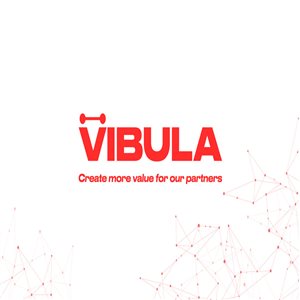 CÔNG TY CỔ PHẦN TẬP ĐOÀN VIBULA